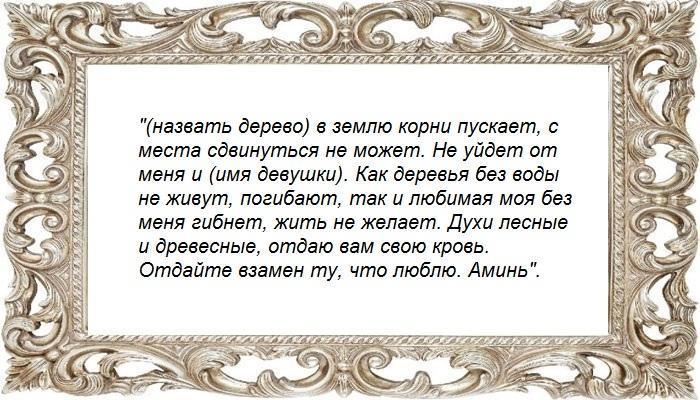 На дерево