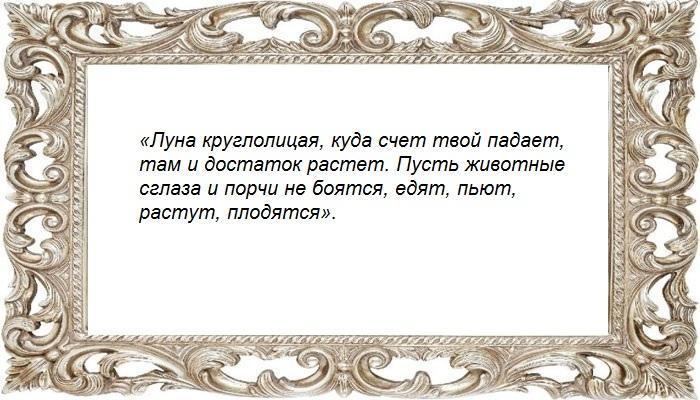Заговор на домашних животных
