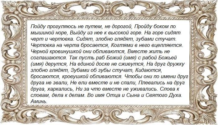 Лапа курицы