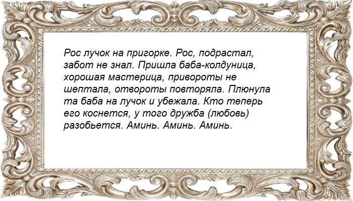 На лук и фото